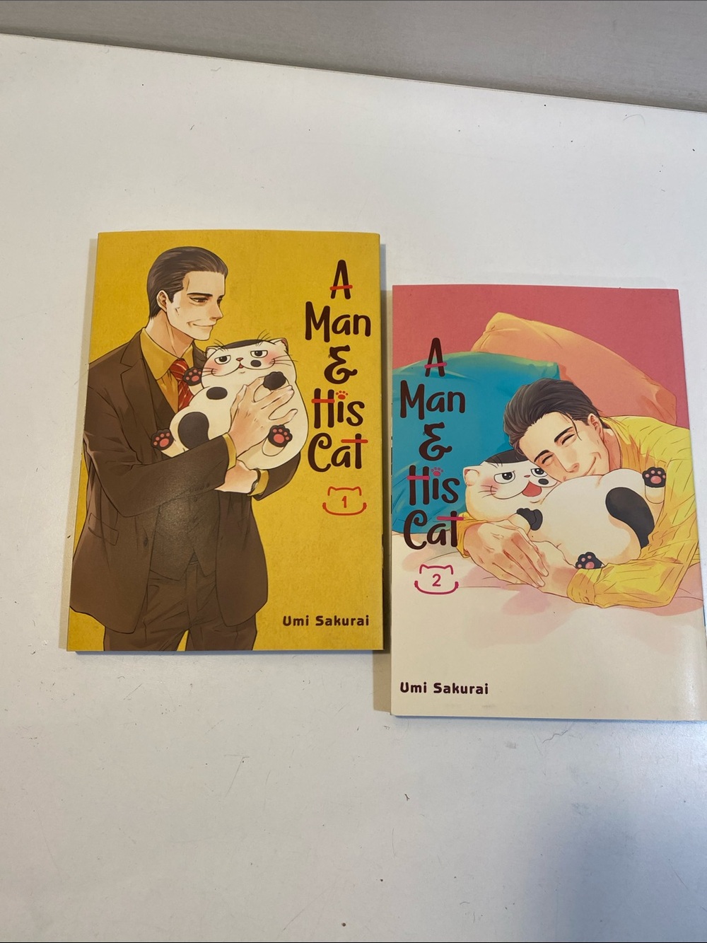 A Man And Its Cat By Umi Sakurai